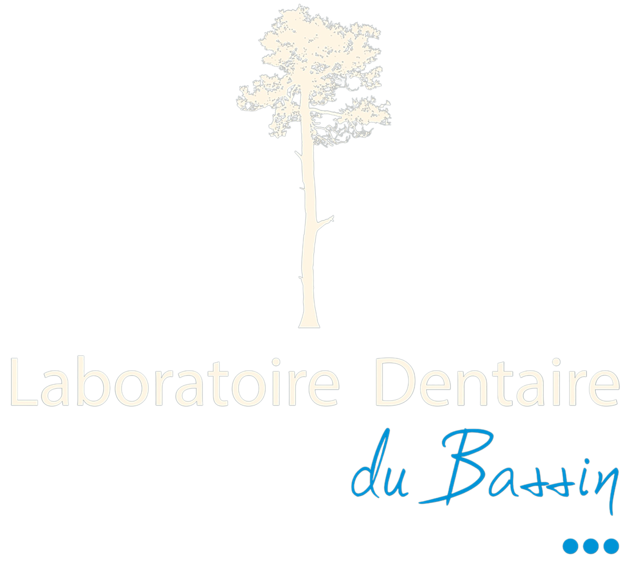 Laboratoire Dentaire du Bassin